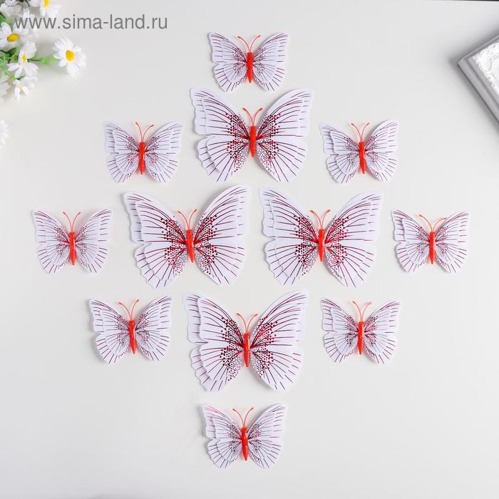 Магнит пластик "Бабочки двойные крылышки" набор 12 шт МИКС
Магнит пластик "Бабочки двойные крылышки" набор 12 шт МИКС