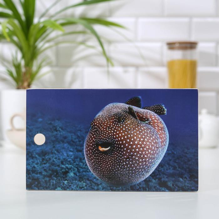 Доска разделочная «Рыбка Фугу», 15×25 см
Доска разделочная «Рыбка Фугу», 15×25 см