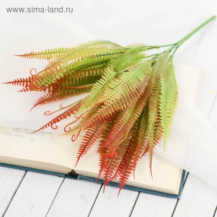 Букет "Папоротник завитой" 32 см, микс
Букет "Папоротник завитой" 32 см, микс