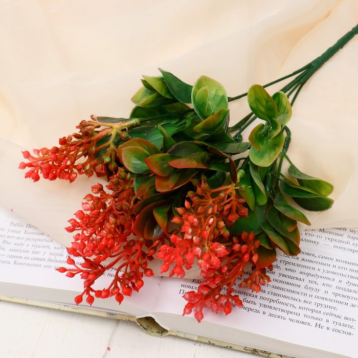 Букет "Каланхоэ" 32 см, микс
Букет "Каланхоэ" 32 см, микс