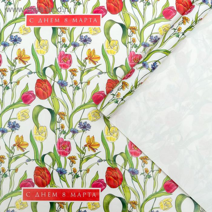 Бумага упаковочная глянцевая «Тюльпаны на 8 марта», 70 × 100 см
Бумага упаковочная глянцевая «Тюльпаны на 8 марта», 70 × 100 см