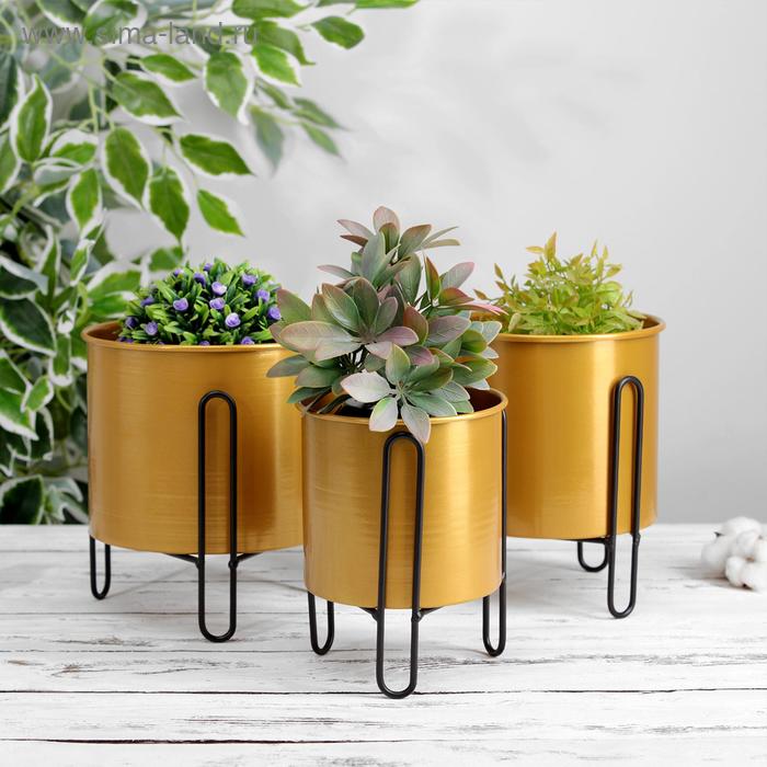 Набор кашпо на подставке «Иллюзион», d=13,5/15,5/18 см
Набор кашпо на подставке «Иллюзион», d=13,5/15,5/18 см