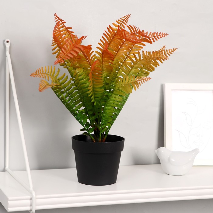 Бонсай в горшке "Папоротник" 10х33 см, микс
Бонсай в горшке "Папоротник" 10х33 см, микс