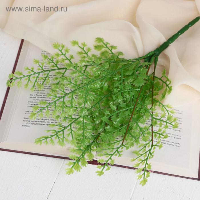 Букет "Адиантум" 28 см
Букет "Адиантум" 28 см