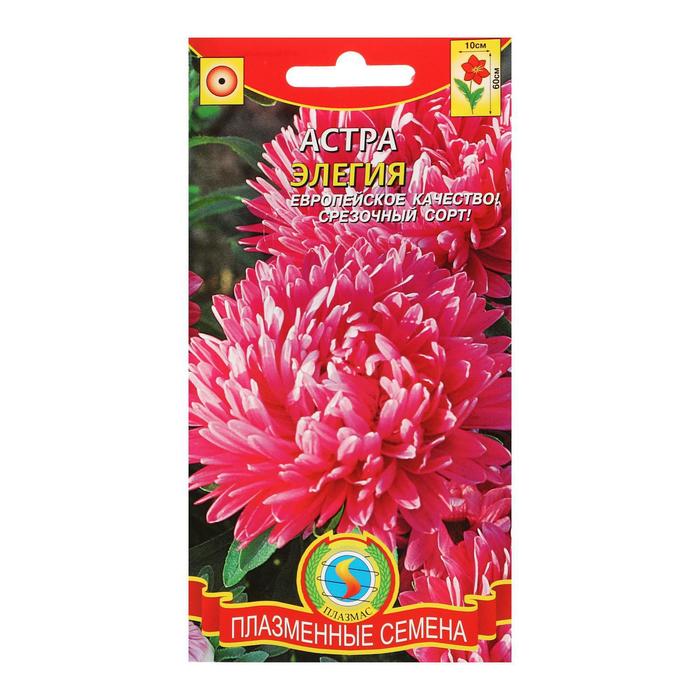 Семена цветов Астра "Элегия",
Семена цветов Астра "Элегия",
