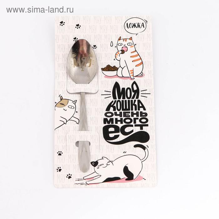 Ложка подарочная на открытке «Кошечка», 3 х 14 см
Ложка подарочная на открытке «Кошечка», 3 х 14 см