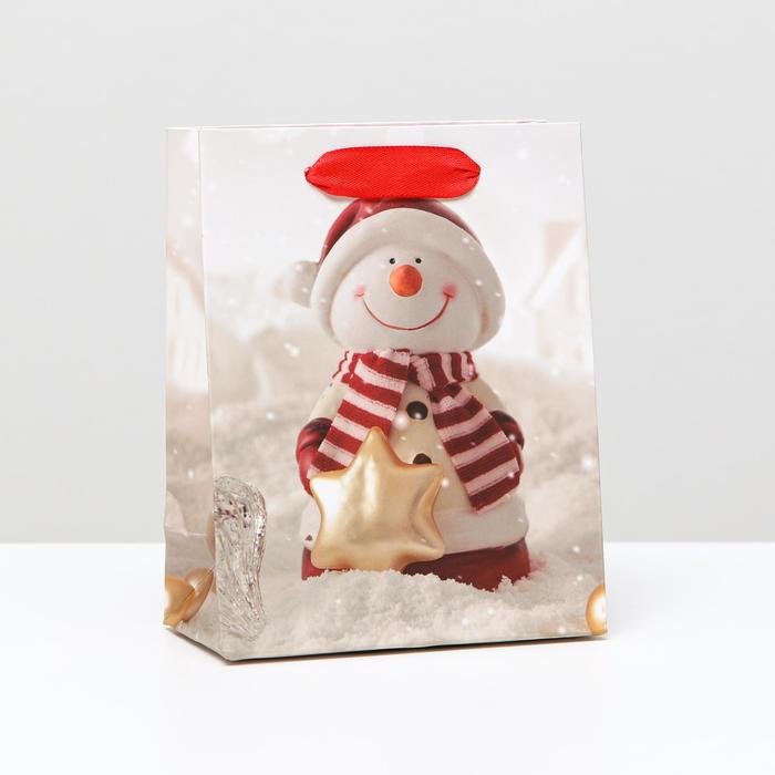 Пакет ламинированный "Снеговик", 11,5 x 14,5 x 6 см
Пакет ламинированный "Снеговик", 11,5 x 14,5 x 6 см