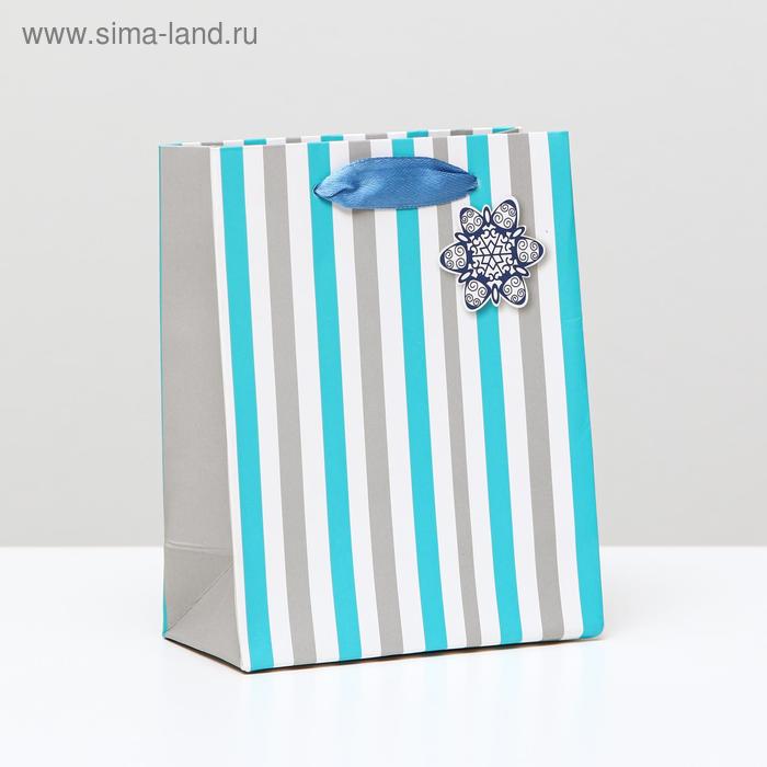 Пакет ламинированный "Снежинка", 11,5 x 14,5 x 6 см
Пакет ламинированный "Снежинка", 11,5 x 14,5 x 6 см