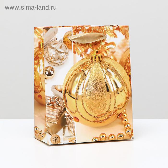 Пакет ламинированный "Золотистый шар", 11,5 x 14,5 x 6 см
Пакет ламинированный "Золотистый шар", 11,5 x 14,5 x 6 см