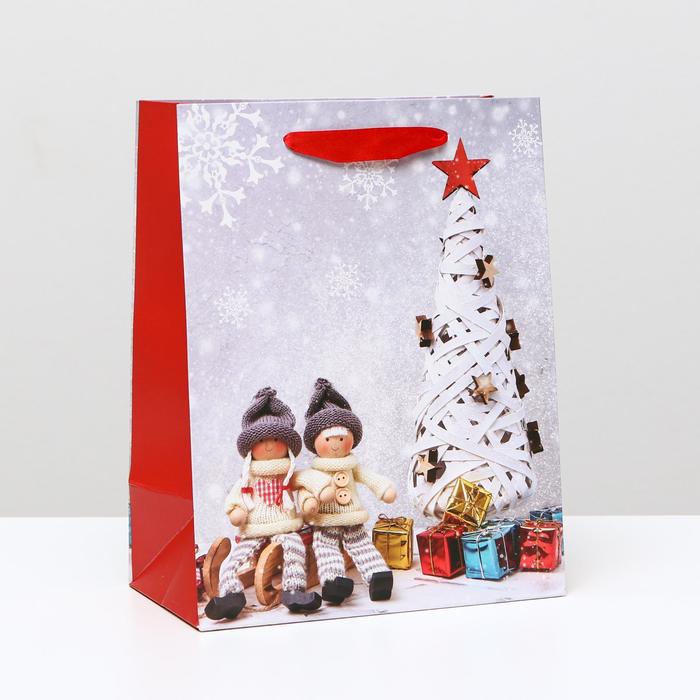 Пакет ламинированный "Ёлка с подарками", 18 x 23 x 10 см
Пакет ламинированный "Ёлка с подарками", 18 x 23 x 10 см