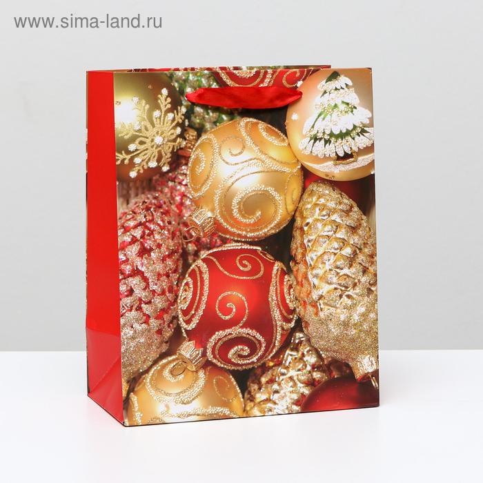 Пакет ламинированный, "Блестящие игрушки" 18 x 23 x 10 см
Пакет ламинированный, "Блестящие игрушки" 18 x 23 x 10 см