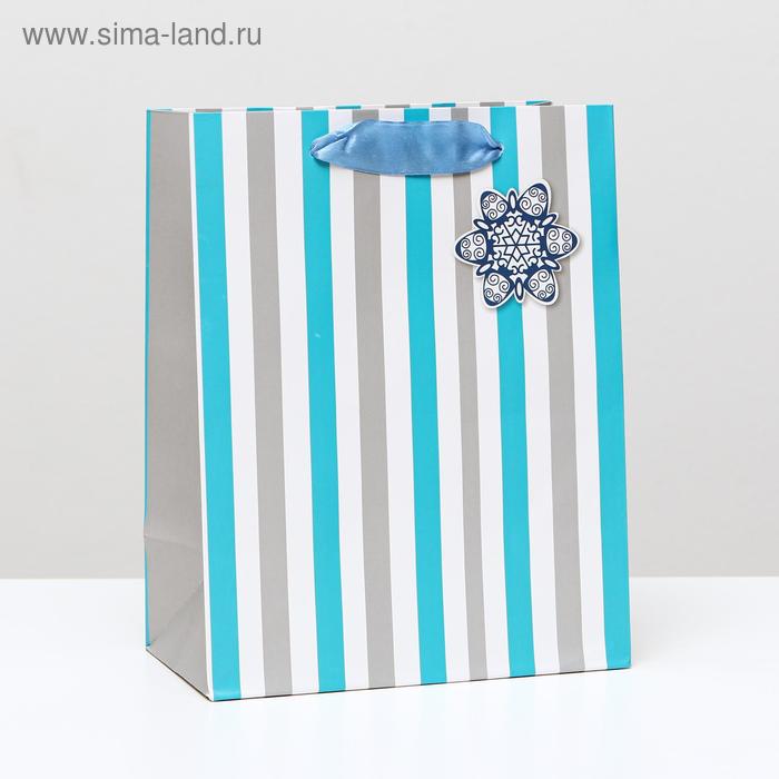 Пакет ламинированный "Снежинка", 18 x 23 x 10 см
Пакет ламинированный "Снежинка", 18 x 23 x 10 см