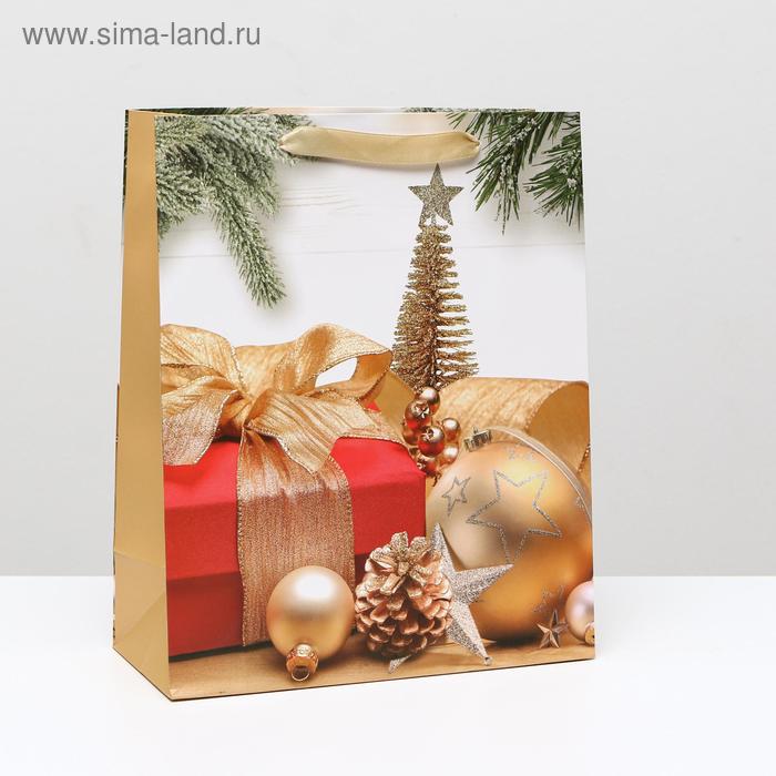 Пакет ламинированный "Золотые украшения", 26 x 32 x 12 см
Пакет ламинированный "Золотые украшения", 26 x 32 x 12 см