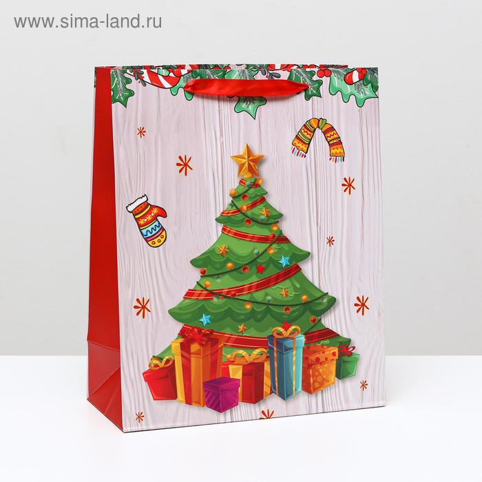 Пакет ламинированный "Ёлка с подарками", 26 x 32 x 12 см
Пакет ламинированный "Ёлка с подарками", 26 x 32 x 12 см