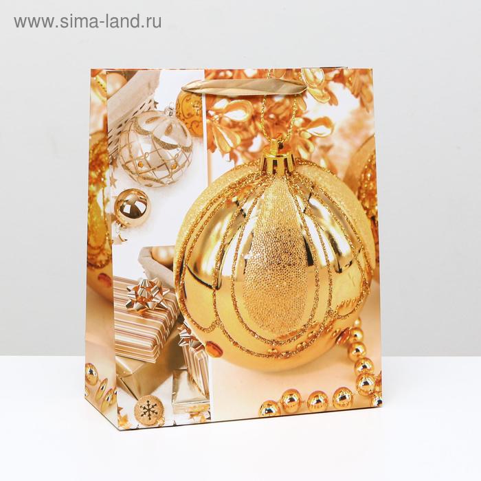 Пакет ламинированный "Золотистый шар", 26 x 32 x 12 см
Пакет ламинированный "Золотистый шар", 26 x 32 x 12 см
