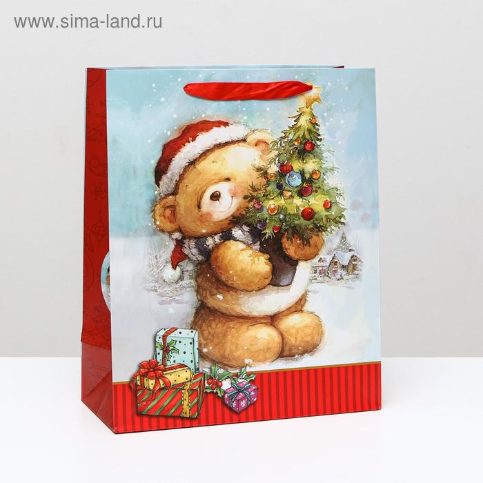 Пакет ламинированный "Поздравляю!", 26 x 32 x 12 см 
Пакет ламинированный "Поздравляю!", 26 x 32 x 12 см