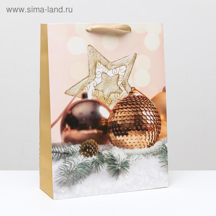 Пакет ламинированный "Звезда в игрушках", 31 x 42 x 12 см 
Пакет ламинированный "Звезда в игрушках", 31 x 42 x 12 см