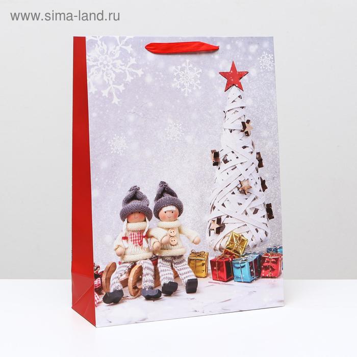 Пакет ламинированный "Ёлка с подарками", 31 x 42 x 12 см
Пакет ламинированный "Ёлка с подарками", 31 x 42 x 12 см