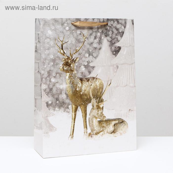 Пакет ламинированный, "Олени в лесу" 31 x 42 x 12 см
Пакет ламинированный, "Олени в лесу" 31 x 42 x 12 см