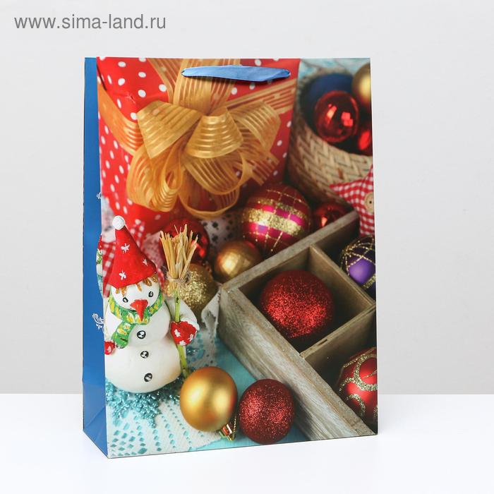 Пакет ламинированный, 31 x 42 x 12 см
Пакет ламинированный, 31 x 42 x 12 см