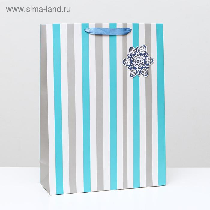 Пакет ламинированный "Снежинка", 31 x 42 x 12 см
Пакет ламинированный "Снежинка", 31 x 42 x 12 см