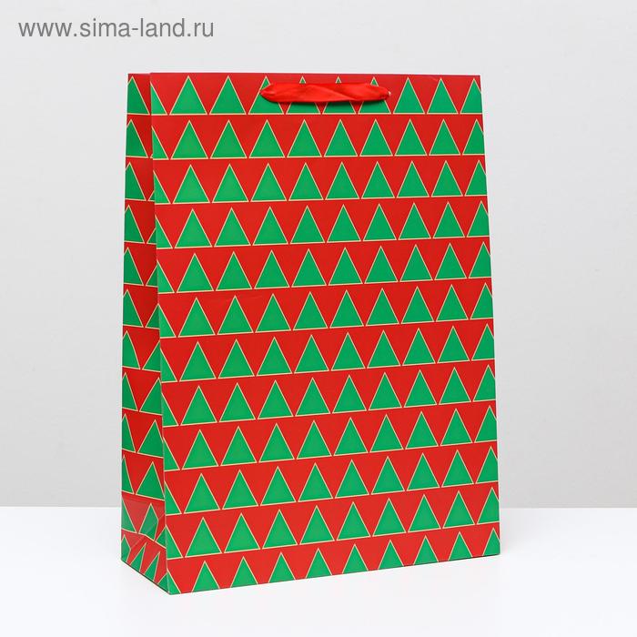 Пакет ламинированный, 31 x 42 x 12 см
Пакет ламинированный, 31 x 42 x 12 см