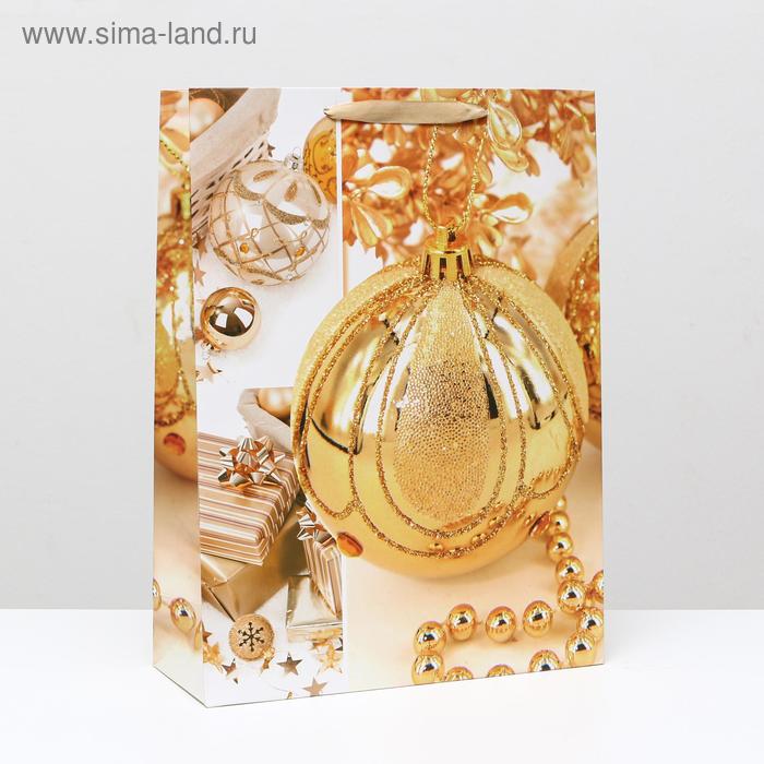 Пакет ламинированный "Золотистый шар", 31 x 42 x 12 см
Пакет ламинированный "Золотистый шар", 31 x 42 x 12 см