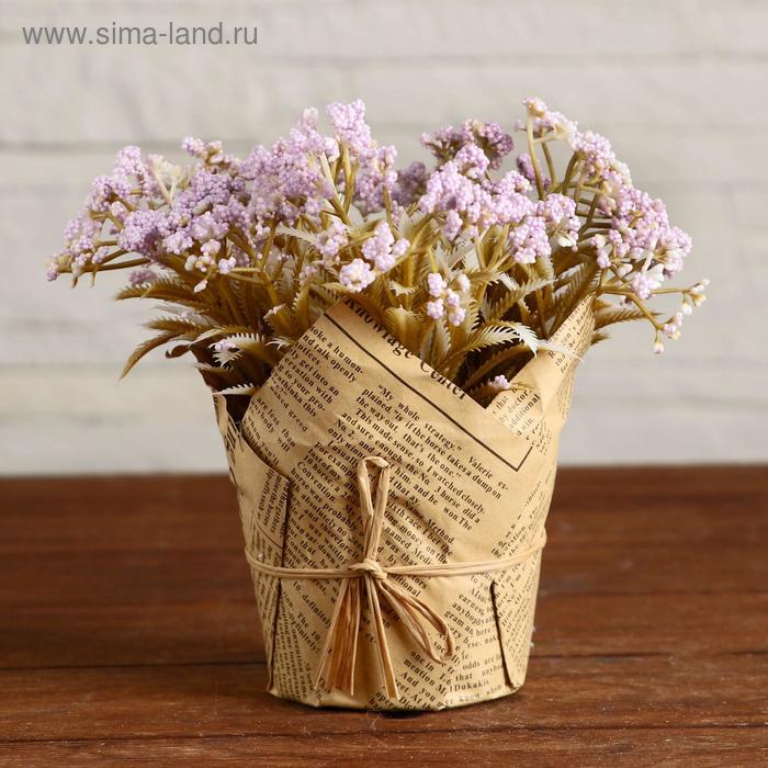 Бонсай в горшке "Морошка" 10х15 см, микс 
Бонсай в горшке "Морошка" 10х15 см, микс