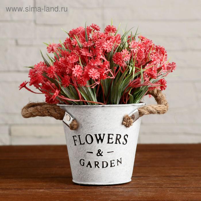 Бонсай в горшке "Василёчки" 18х18 см, микс
Бонсай в горшке "Василёчки" 18х18 см, микс