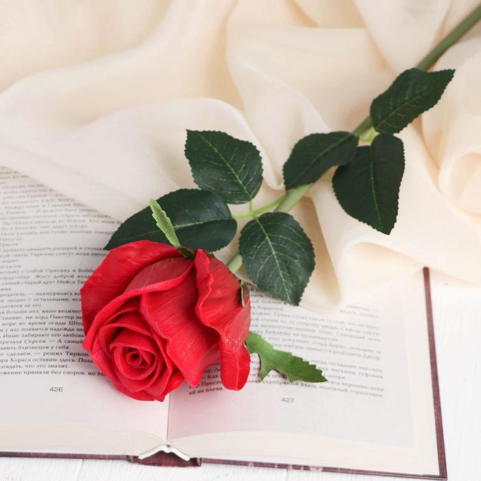 Цветы искусственные LIVE "Роза нежная" 6х50 см, красный
Цветы искусственные LIVE "Роза нежная" 6х50 см, красный