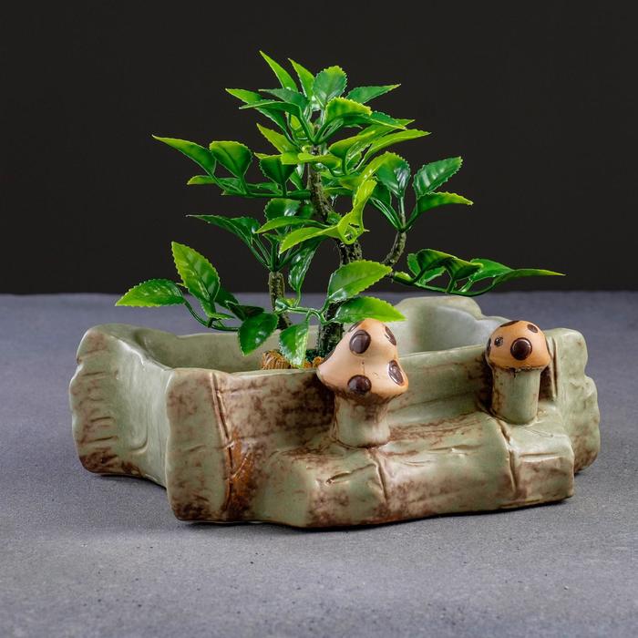 Кашпо "Пень с мухоморами" 18*13*7см 
Кашпо "Пень с мухоморами" 18*13*7см