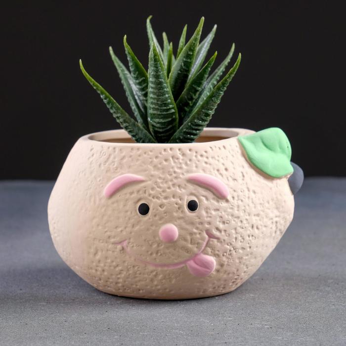 Горшок "Лимон" 8*8см МИКС
Горшок "Лимон" 8*8см МИКС