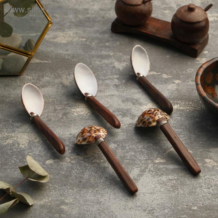 фото Ложка "пурнама" (набор5 штук) 4х11х4 см ракушка