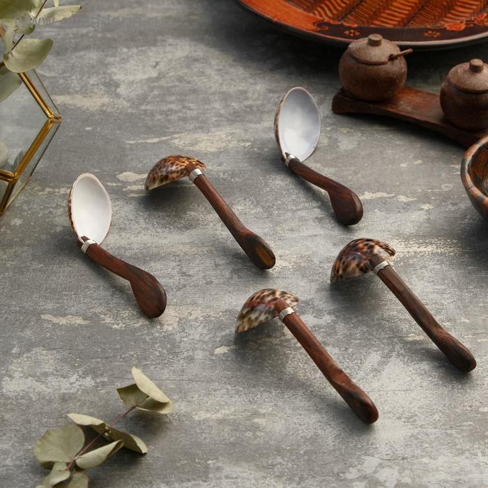 фото Ложка "диана" (набор 5 штук) 5х4х14 см ракушка