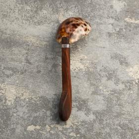 Ложка "Диана" (набор 5 штук) 5х4х14 см ракушка
Ложка "Диана" (набор 5 штук) 5х4х14 см ракушка