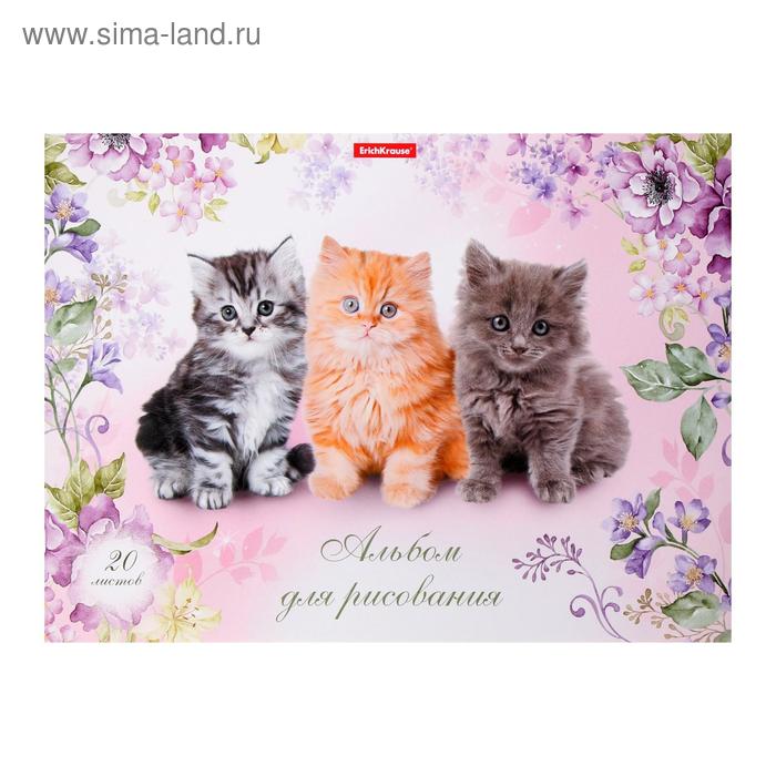 Альбом для рисования А4, 20 листов на клею "Мурзики", обложка мелованный картон, жёсткая подложка, блок 120 г/м2
Альбом для рисования А4, 20 листов на клею "Мурзики", обложка мелованный картон, жёсткая подложка, блок 120 г/м2