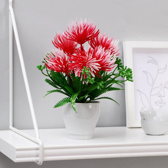 Бонсай в горшке "Карпобротус" 7х18 см, микс
Бонсай в горшке "Карпобротус" 7х18 см, микс