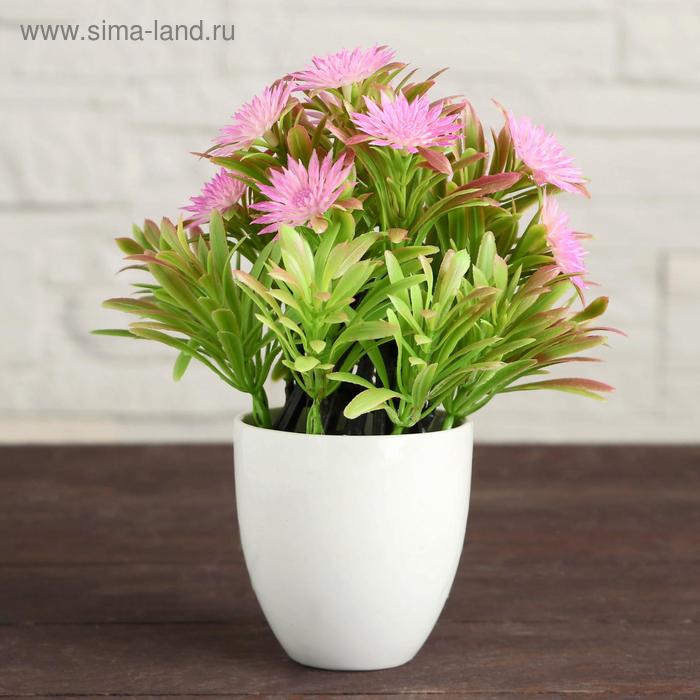 Бонсай в горшке "Протея" 7х15 см, микс
Бонсай в горшке "Протея" 7х15 см, микс