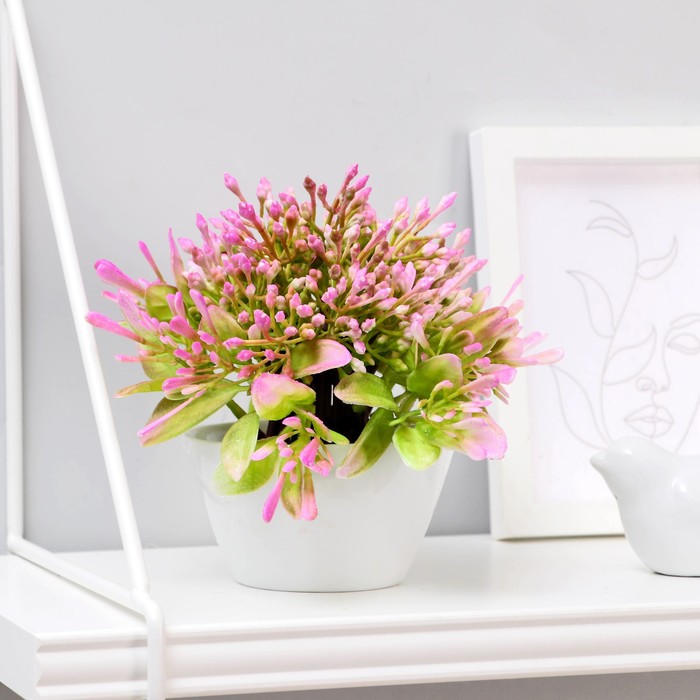 Бонсай в горшке "Горечавка" 10х15 см, микс
Бонсай в горшке "Горечавка" 10х15 см, микс