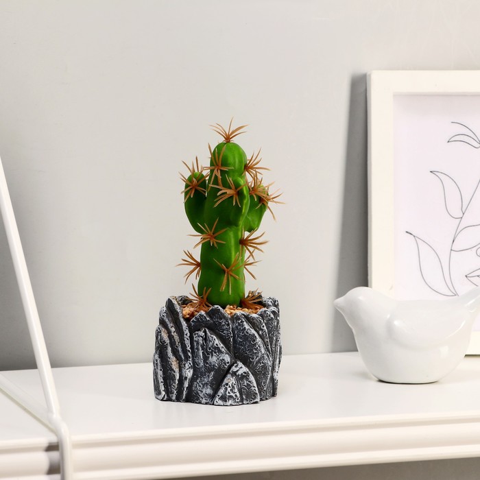 Бонсай "Кактус" заборчик, 6х13 см
Бонсай "Кактус" заборчик, 6х13 см