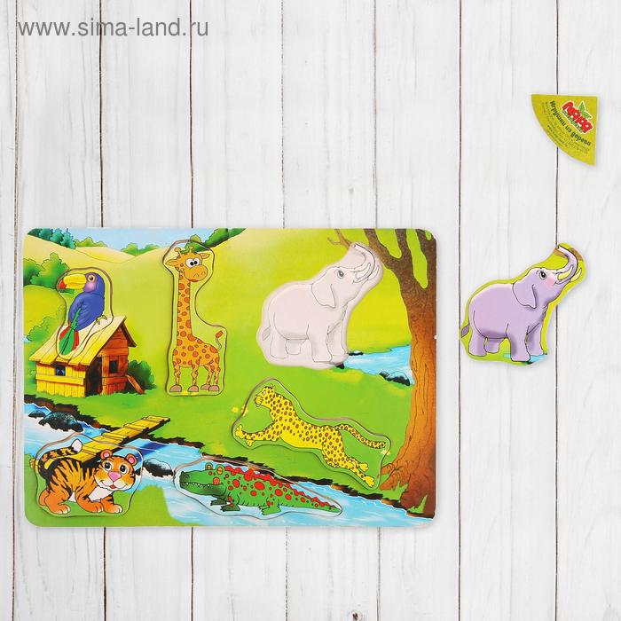 Рамка-вкладыш, виды МИКС 
Рамка-вкладыш, виды МИКС