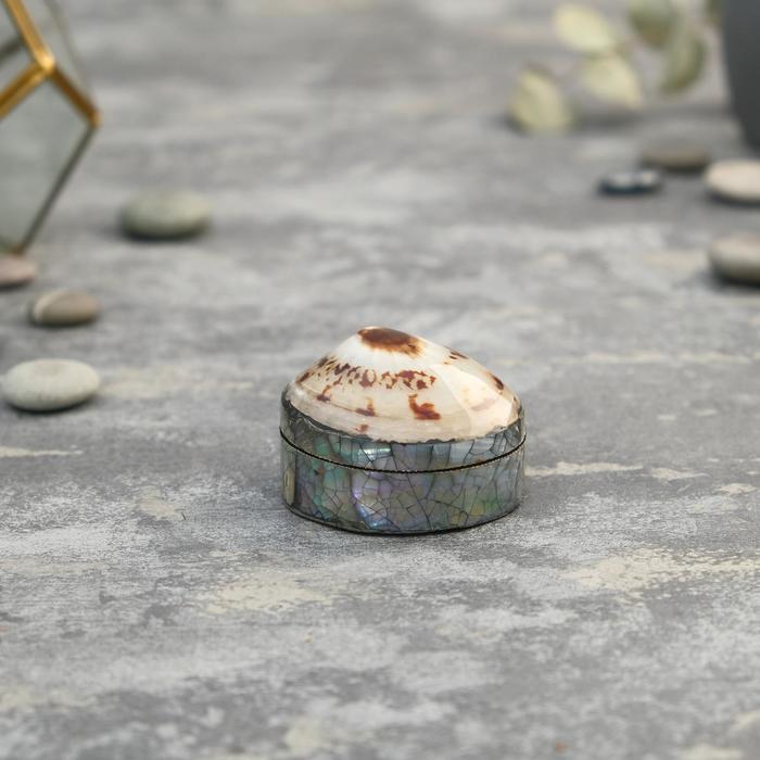 Шкатулка "Унавий" 5х4х3 см ракушка
Шкатулка "Унавий" 5х4х3 см ракушка