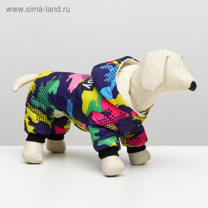 Комбинезон Dogbaby, L (ДС 30 см, ОШ 29 см, ОГ 44 см)
Комбинезон Dogbaby, L (ДС 30 см, ОШ 29 см, ОГ 44 см)