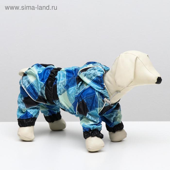 фото Комбинезон демисезонный с отверстием для поводка, 16 (дс 40, ош 40, ог 53 см), синий