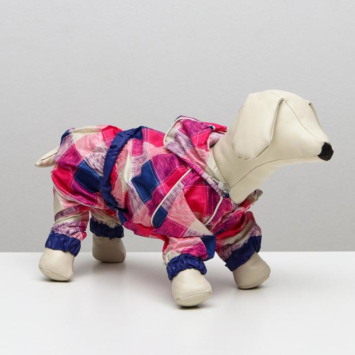 Комбинезон демисезонный с отверстием для поводка, 12 (ДС 30, ОШ 30, ОГ 40 см), розовый
Комбинезон демисезонный с отверстием для поводка, 12 (ДС 30, ОШ 30, ОГ 40 см), розовый