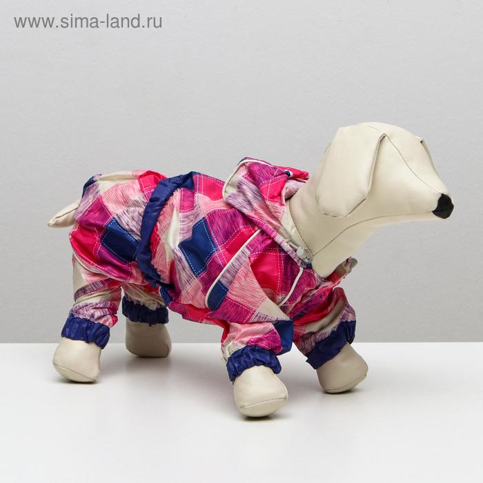 Комбинезон демисезонный с отверстием для поводка, 22 (ДС 55, ОШ 48, ОГ 68 см), розовый
Комбинезон демисезонный с отверстием для поводка, 22 (ДС 55, ОШ 48, ОГ 68 см), розовый