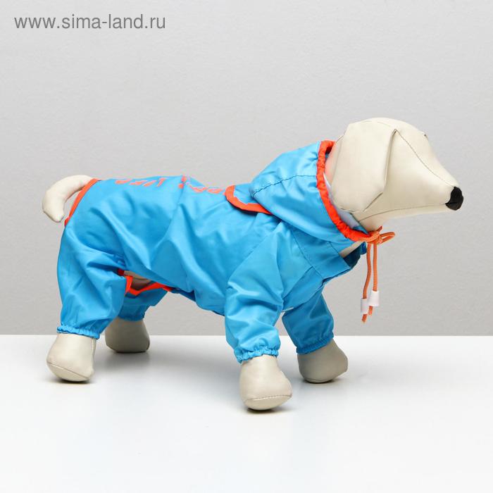 Комбинезон демисезонный с отверстием для поводка, 14 (ДС 36, ОШ 28, ОГ 42 см), голубой
Комбинезон демисезонный с отверстием для поводка, 14 (ДС 36, ОШ 28, ОГ 42 см), голубой