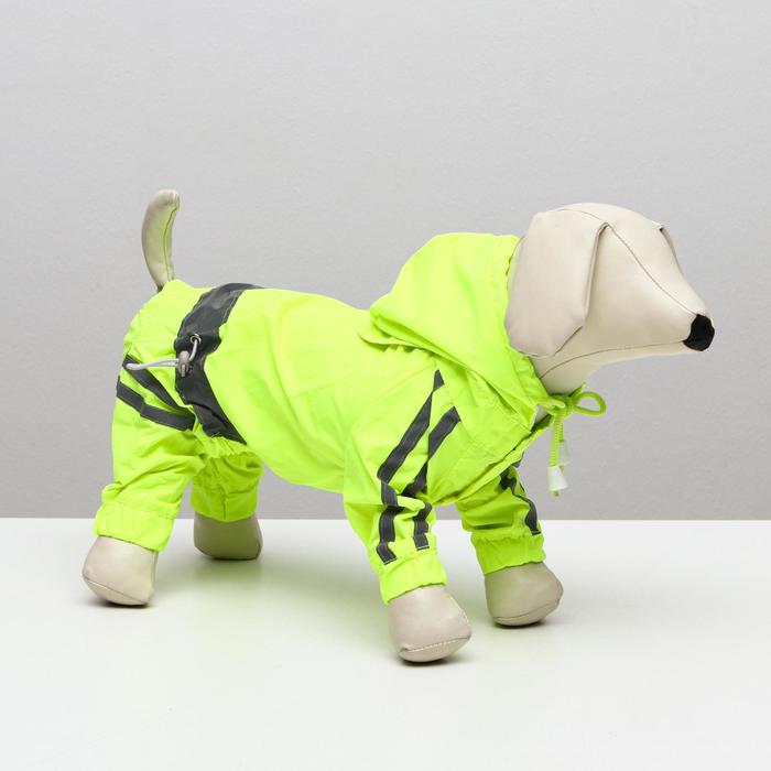 Комбинезон демисезонный светоотражающий, 14 (ДС 35, ОШ 33, ОГ 47 см), салатовый
Комбинезон демисезонный светоотражающий, 14 (ДС 35, ОШ 33, ОГ 47 см), салатовый