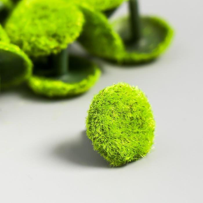 Тычинки "Астра" 2,5 см, 20 шт, зелёный
Тычинки "Астра" 2,5 см, 20 шт, зелёный