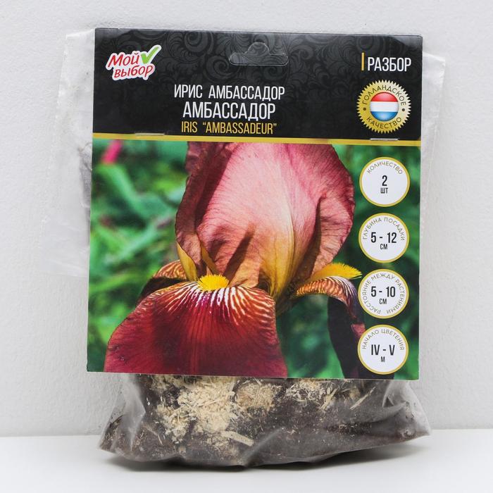 Ирис германский Амбассадор, 2 шт, Весна 2022,
Ирис германский Амбассадор, 2 шт, Весна 2022,